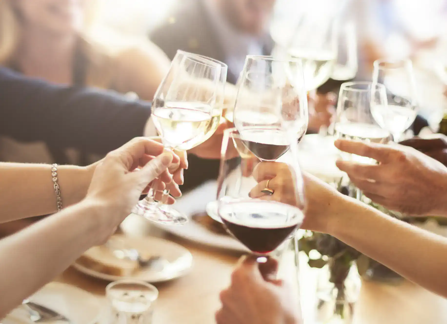 A group of people raising wine glasses in a toast around a table in NY, with sunlight streaming in and food dishes visible in the background&mdash;celebrating after ballroom dance Suffolk County lessons.